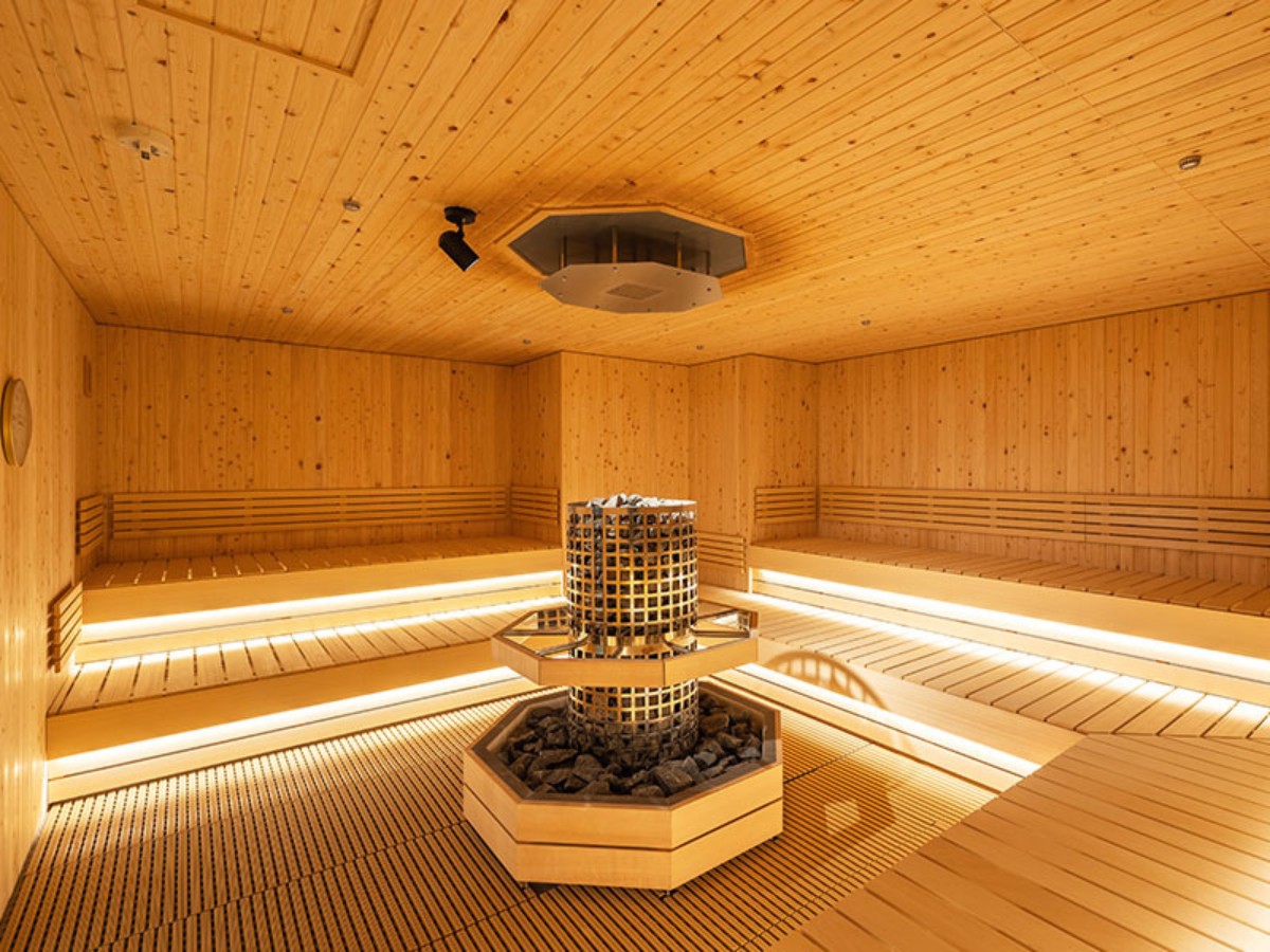 KOIZUMI プライベートサウナSauna NKS-2000 KOIZUMI プライベートサウナSauna NKS-2000