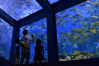 海中エントランス